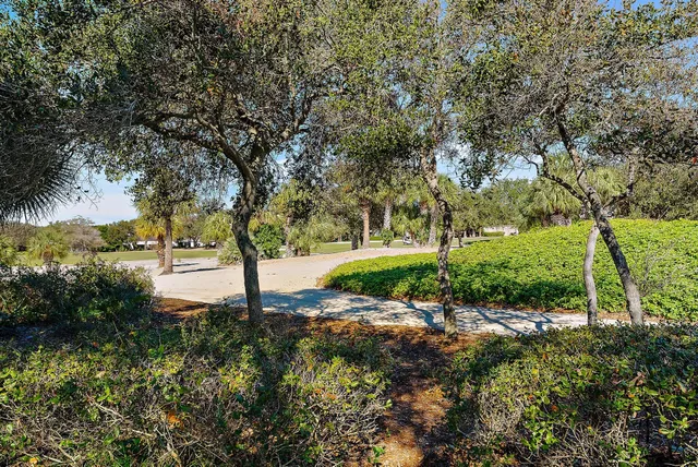 a view of a park with large trees