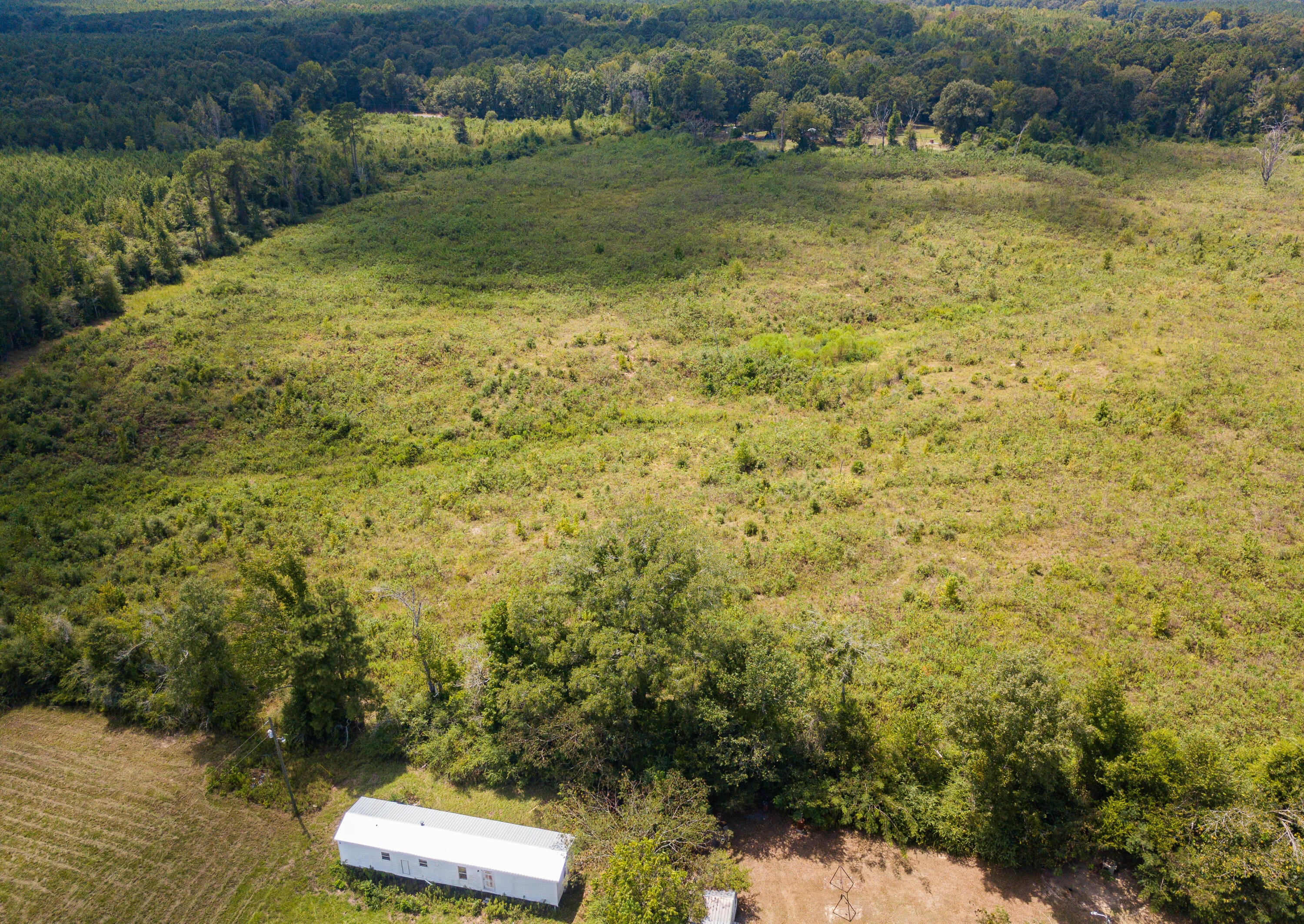 0 Henry Smith Road Tylertown, MS 39667 - Photo 22 of 32 Gallery Image 22