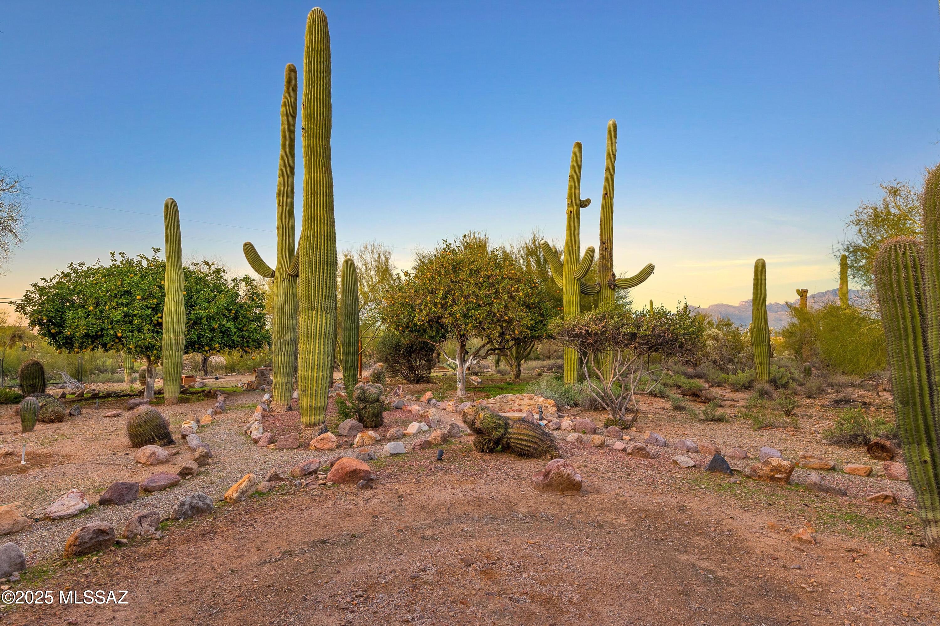 2614 North Grannen Road Tucson, AZ 85745 - Photo 35 of 49
