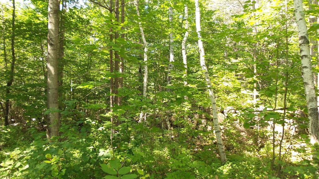 Tbd Stone Road West Newfield, ME 04095 - Photo 3 of 27 Photo