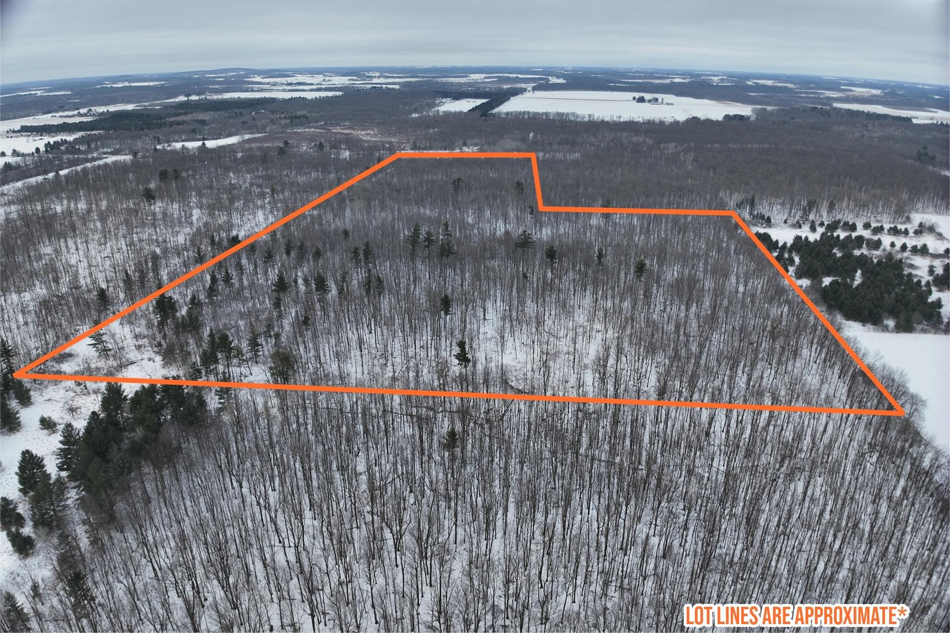 65.32-acres Bobwhite Road Neillsville, WI 54456 - Photo 3 of 26