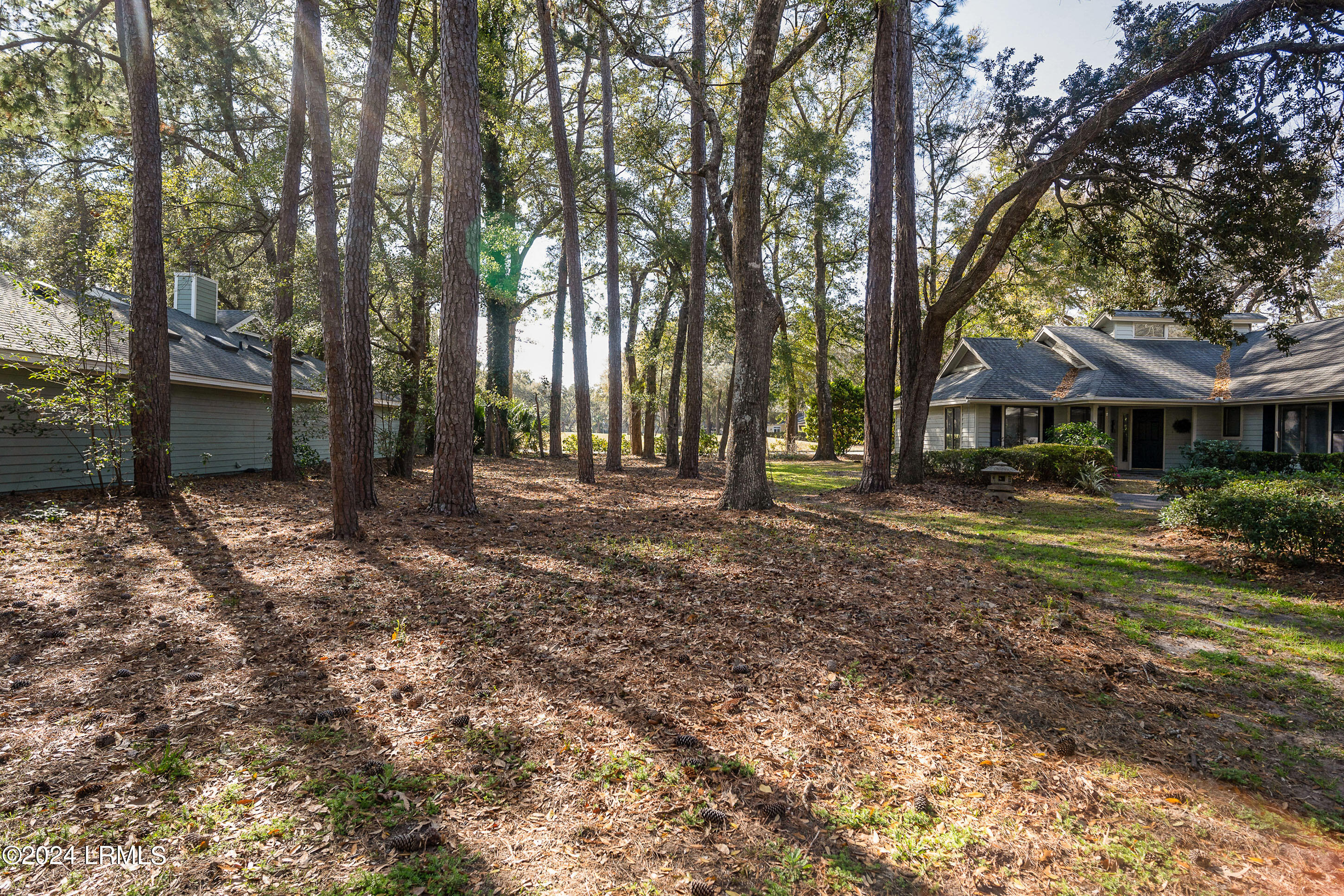 1504 Spring Well Road St. Helena Island, SC 29920 - Photo 11 of 19 057-DSC01284-1-HDR-1a.jpg-FULL (9)