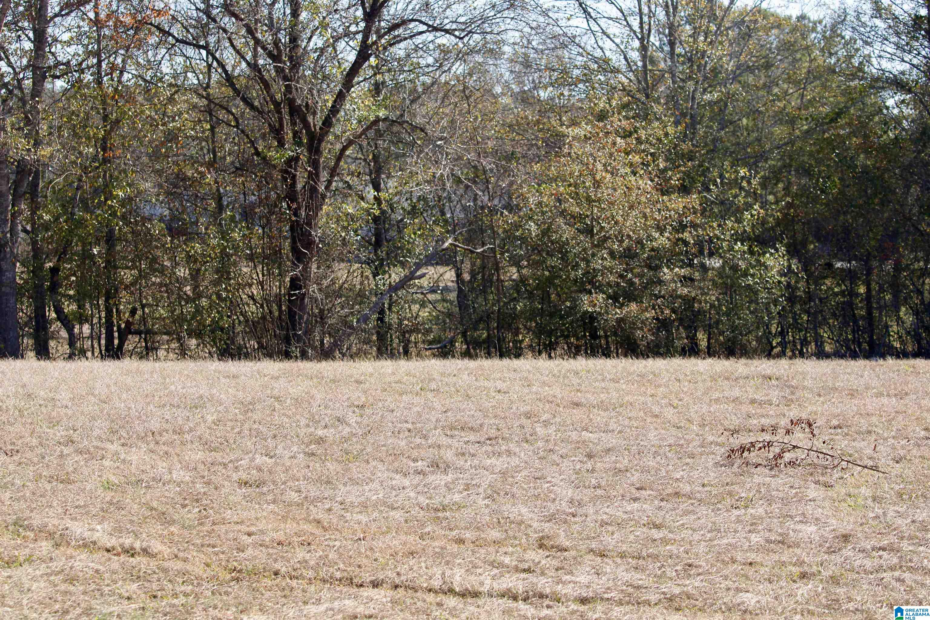 133 Thompson Drive Vincent, AL 35178 - Photo 22 of 23