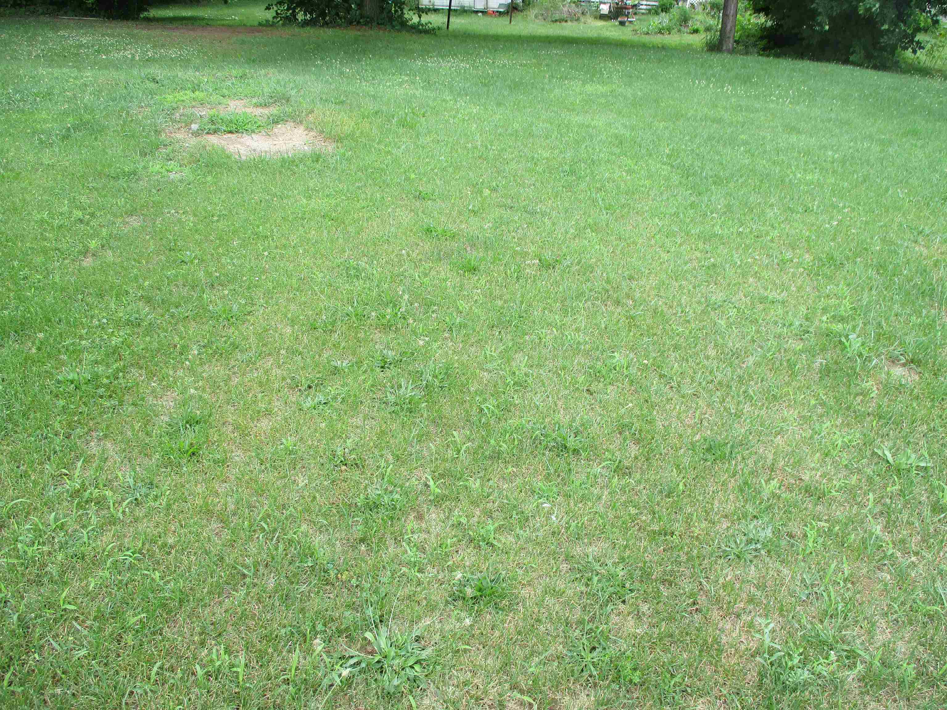 7115 West Beard Road Perry, MI 48872 - Photo 29 of 33 50146911-4678d35b-be59-4c23-bbcc-cb83529cb9d7.JPG