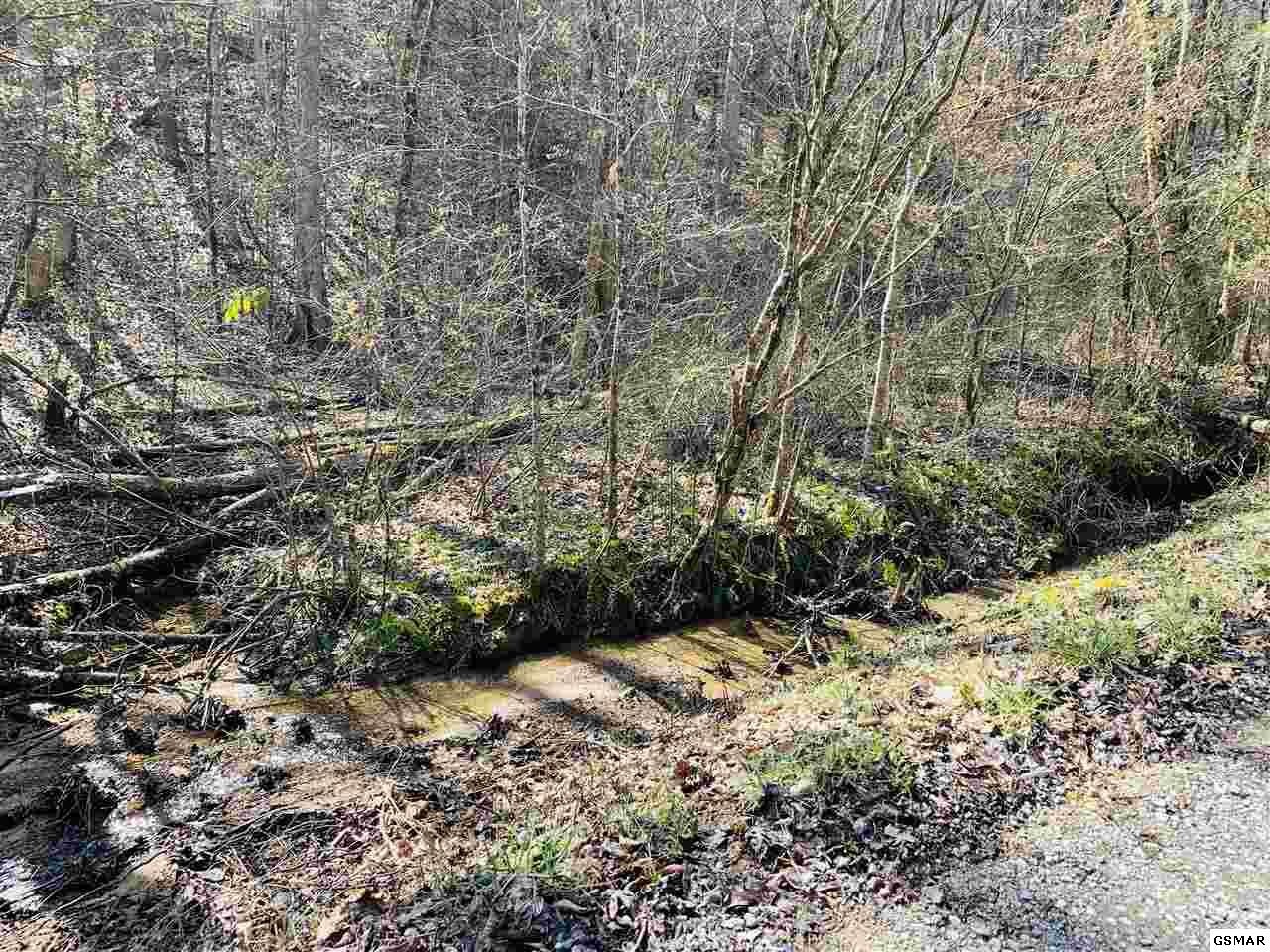 9 Sulpher Springs Road Sevierville, TN 37862 - Photo 4 of 12 Gallery Image 4