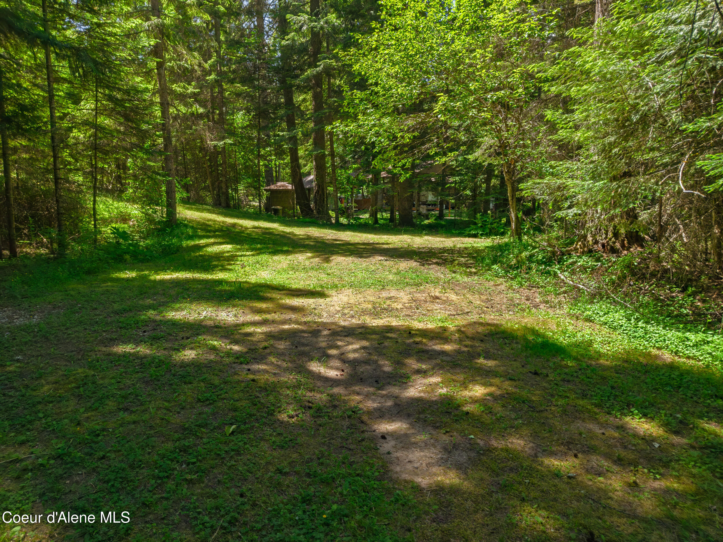 30839 St Joe River Road Calder, ID 83808 - Photo 4 of 33 Lawn