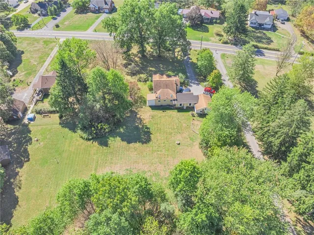 a view of a garden with plants