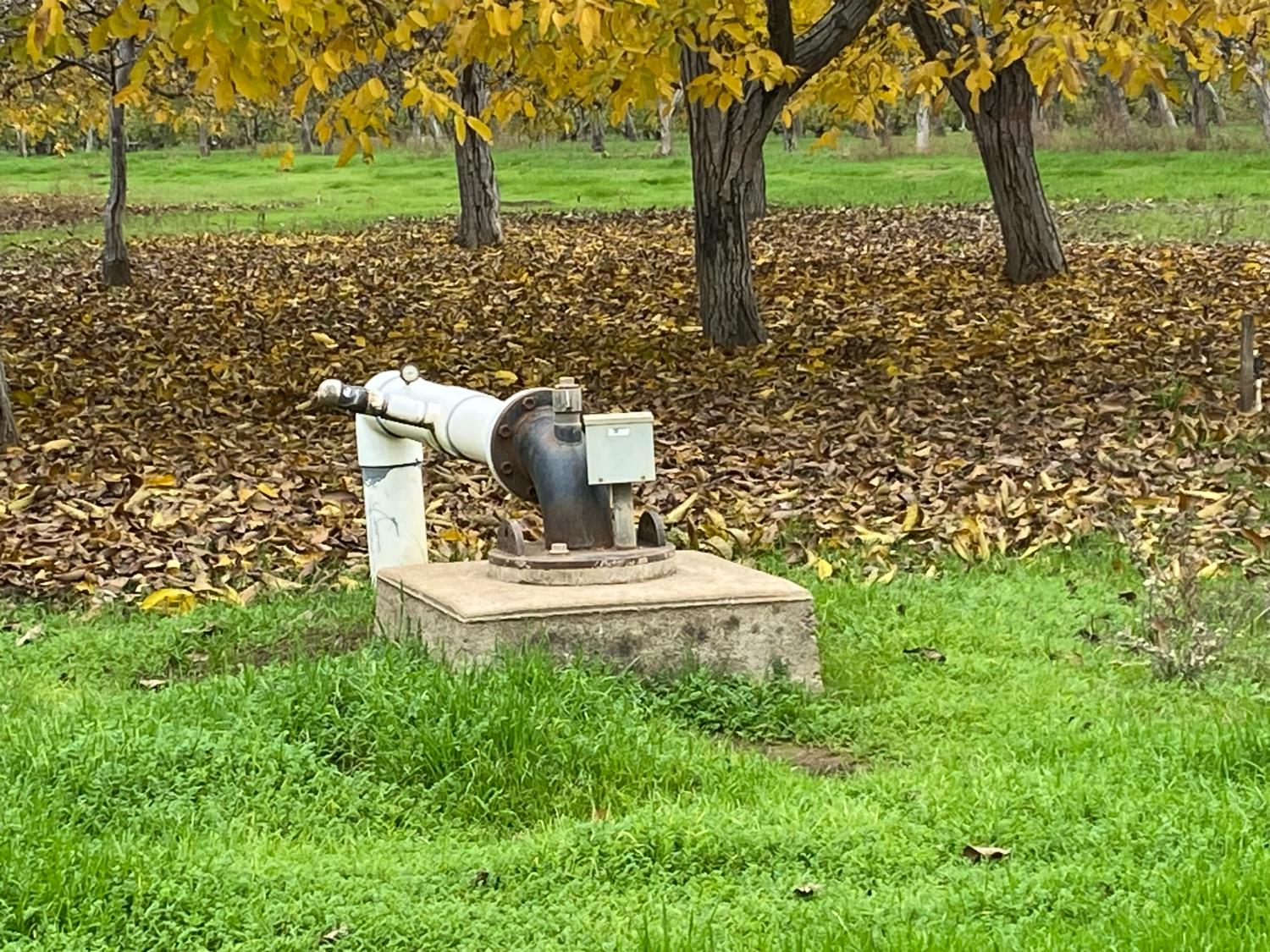10201 East Fairchild Road Stockton, CA 95215 - Photo 4 of 6 a view of a yard with plants and trees