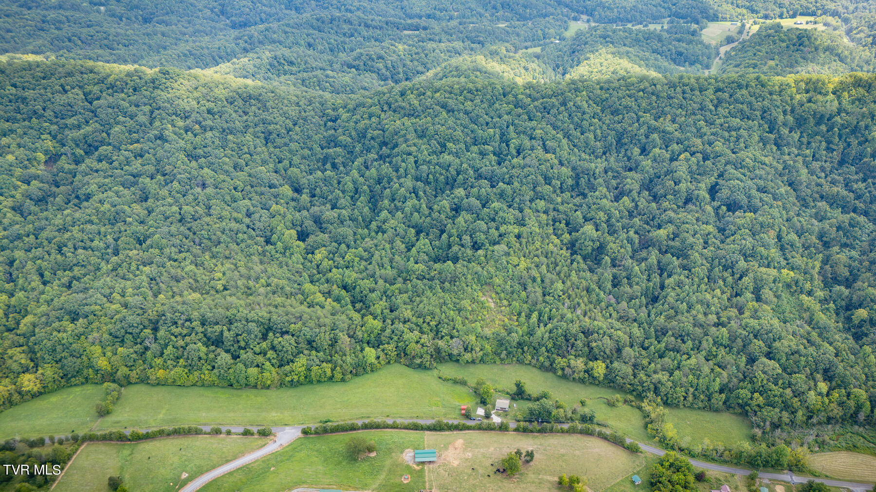 642 Long Bend Road Rogersville, TN 37857 - Photo 39 of 53 103