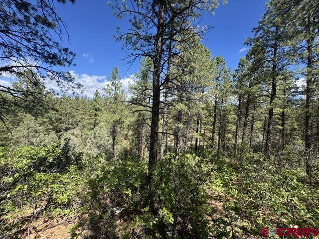 121 Engineer Point Pagosa Springs, CO 81147 - Photo 22 of 43