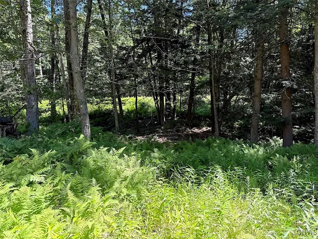 $206,000 | 223 Lewis Road, Constantia, NY 13044