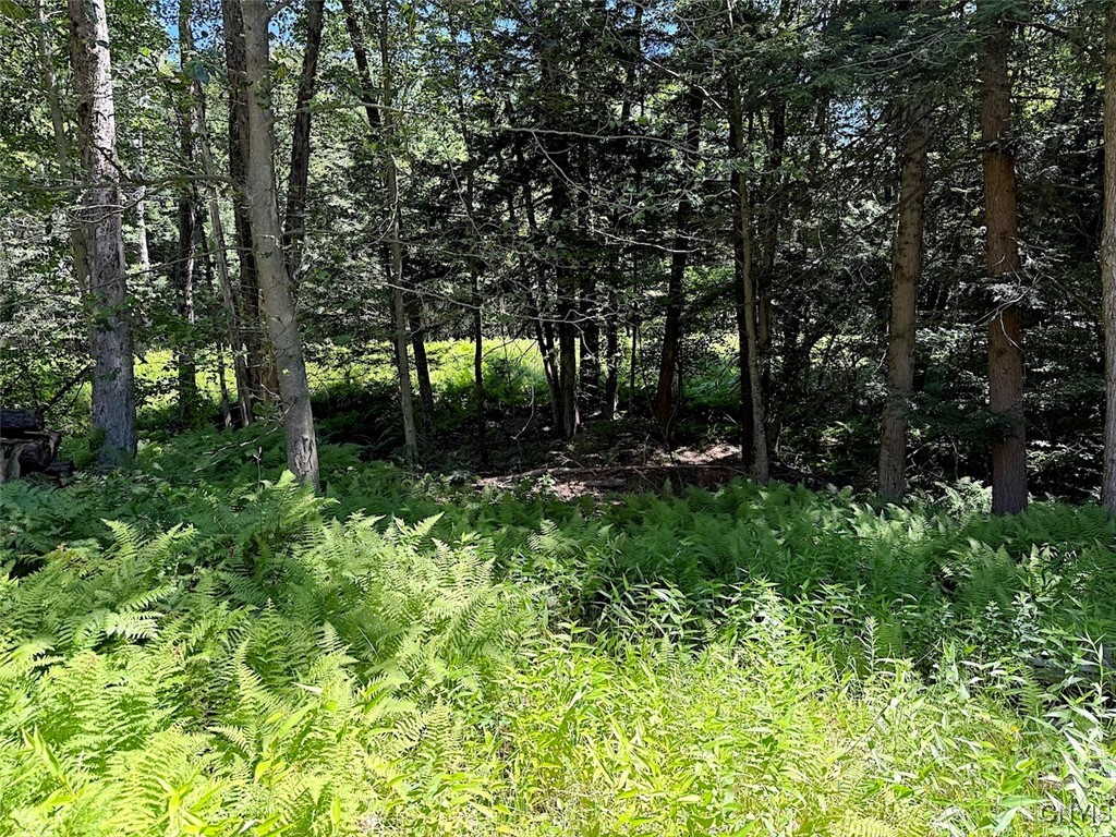 223 Lewis Road Constantia, NY 13044 - Photo 19 of 23