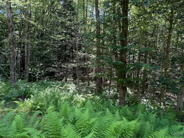 $206,000 | 223 Lewis Road, Constantia, NY 13044