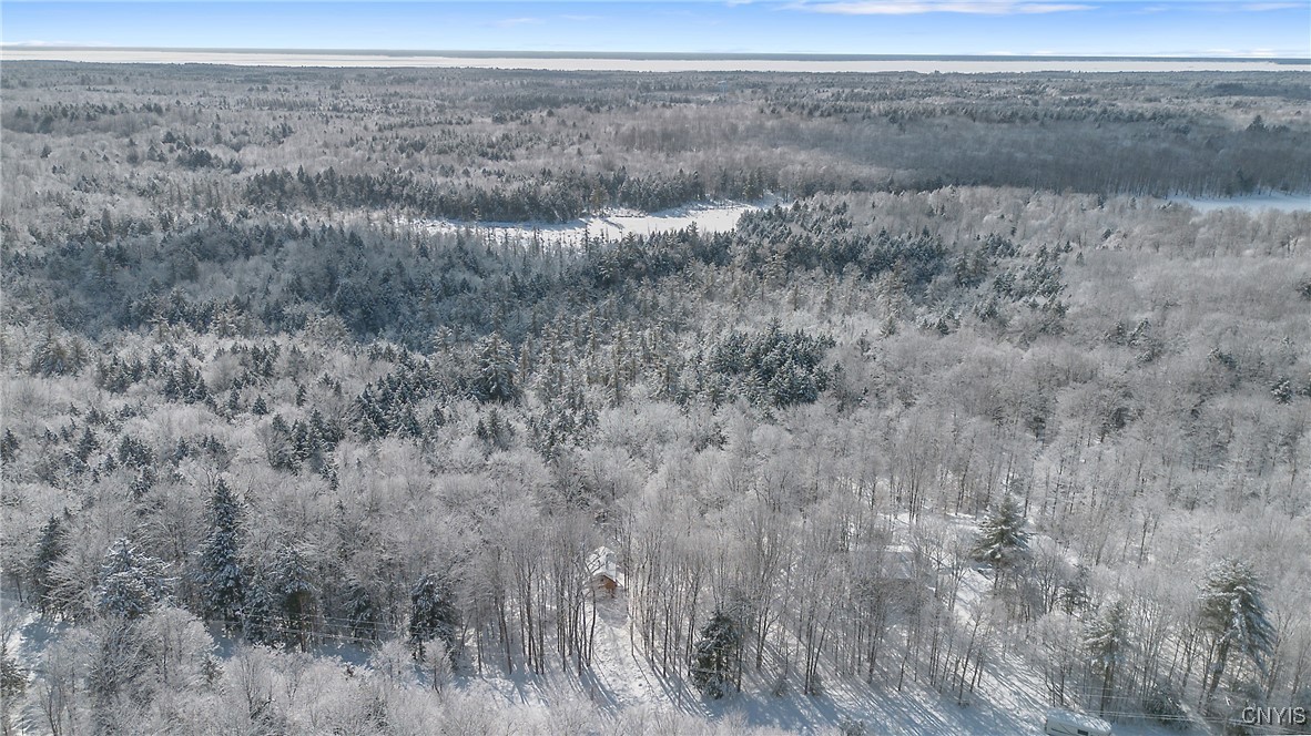 223 Lewis Road Constantia, NY 13044 - Photo 25 of 30