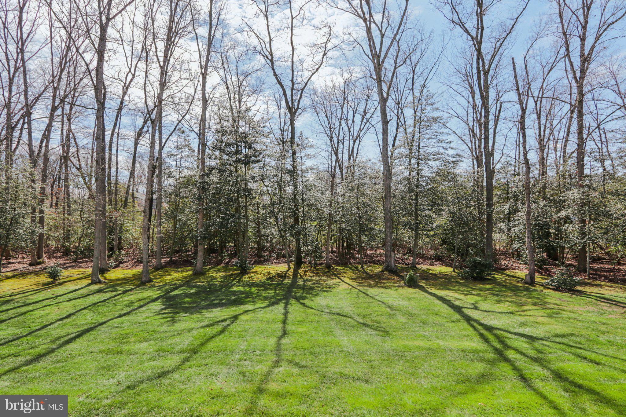 1 John's Way Bridgeton, NJ 08302 - Photo 10 of 57 a view of yard