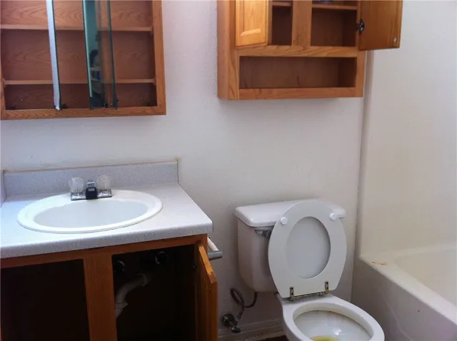 a bathroom with a toilet a sink and mirror