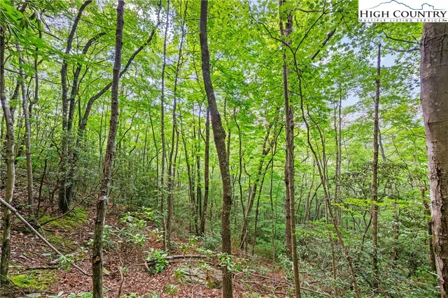 $290,000 | Lot 330 Pepperroot Road, Boone, NC 28607
