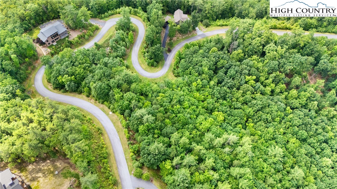 Lot 330 Pepperroot Road Boone, NC 28607 - Photo 8 of 16