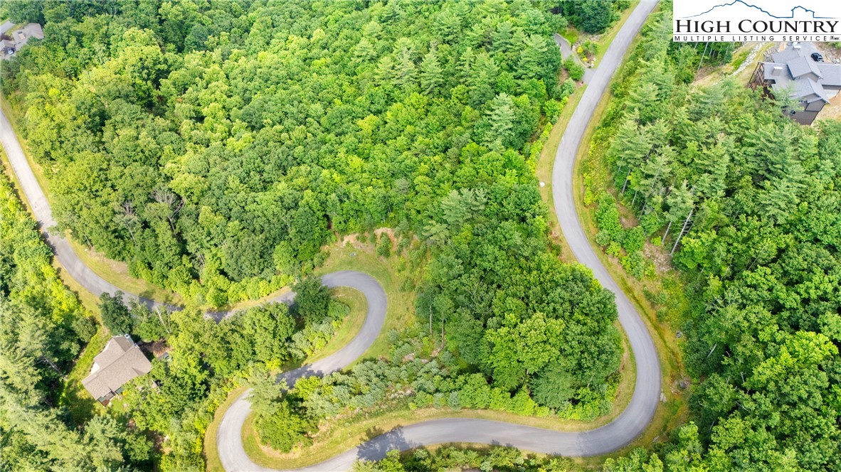 Lot 330 Pepperroot Road Boone, NC 28607 - Photo 9 of 16