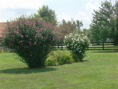 219 Ridge Runner Road Lancaster, KY 40444 - Photo 15 of 33 Photo 15