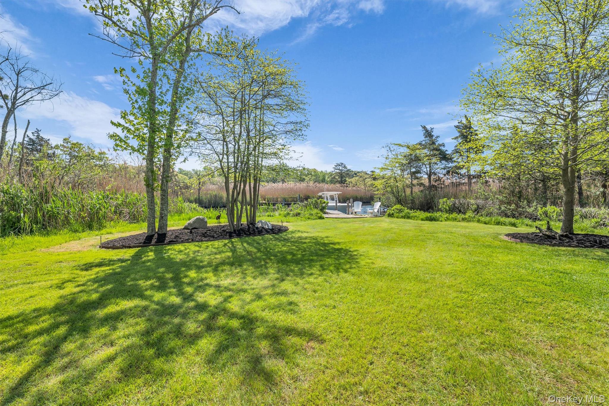 238 Beaver Dam Road Brookhaven, NY 11719 - Photo 30 of 44 a view of an trees with a big yard