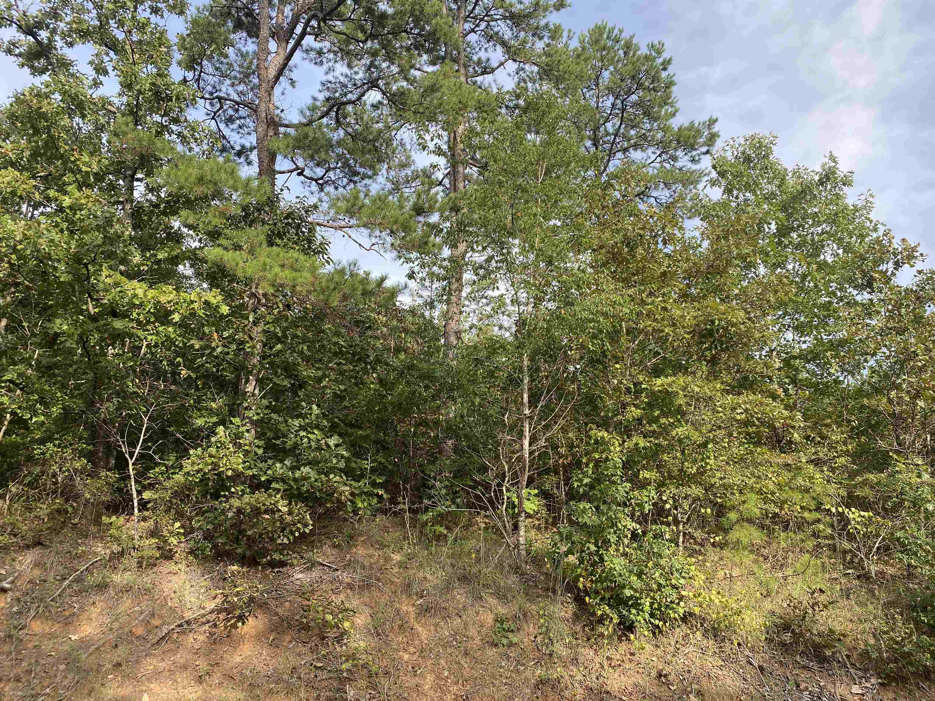 0 Gann Road Selmer, TN 38375 - Photo 8 of 14 Gallery Image 8