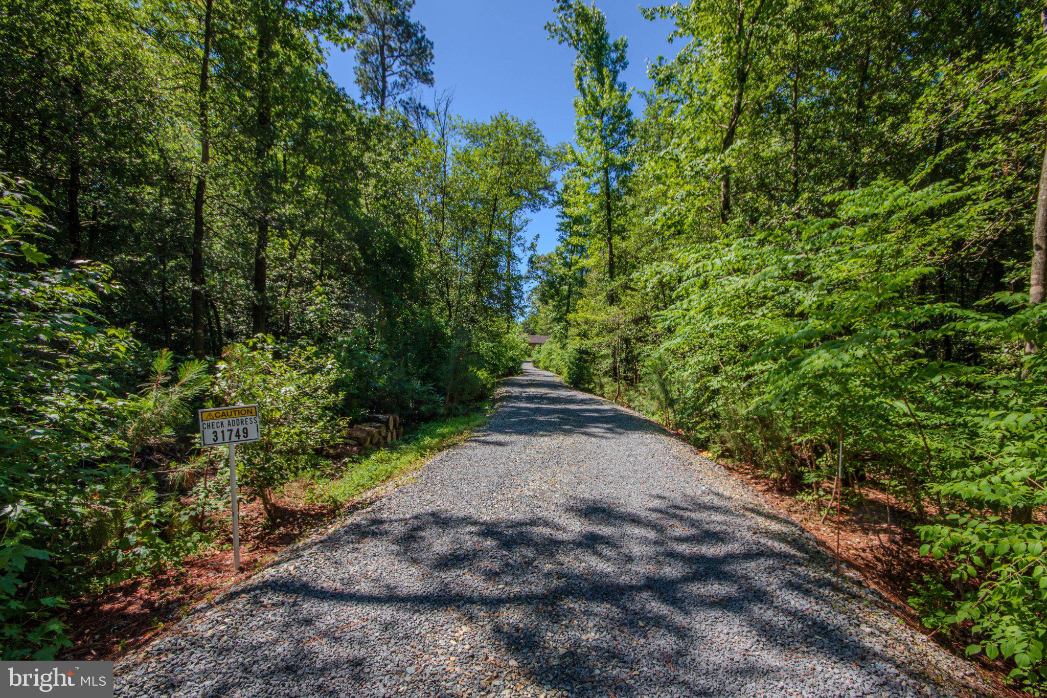 31749 Morris Leonard Road Parsonsburg, MD 21849 - Photo 40 of 40 Serene gravel path through lush woods.