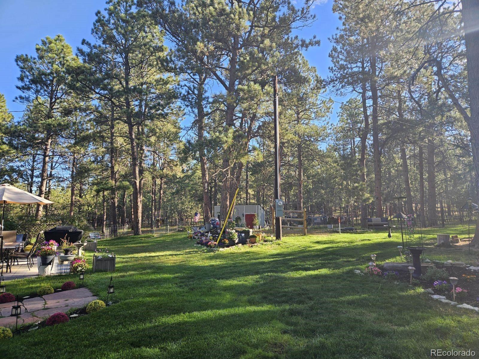 8020 Cyprus Road Colorado Springs, CO 80908 - Photo 36 of 42 a view of a park with large trees