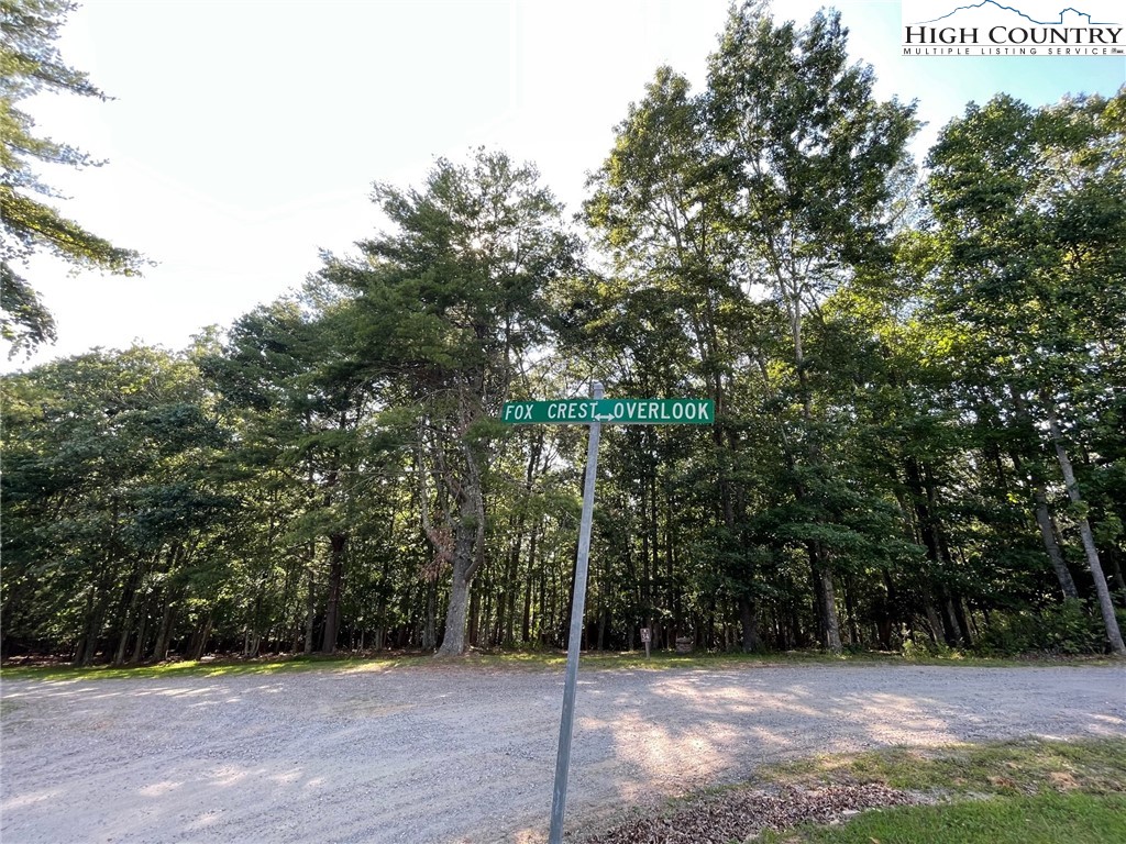 Tbd Lot# 34 Tbd Road Crumpler, NC 28617 - Photo 8 of 24 Gallery Image 8