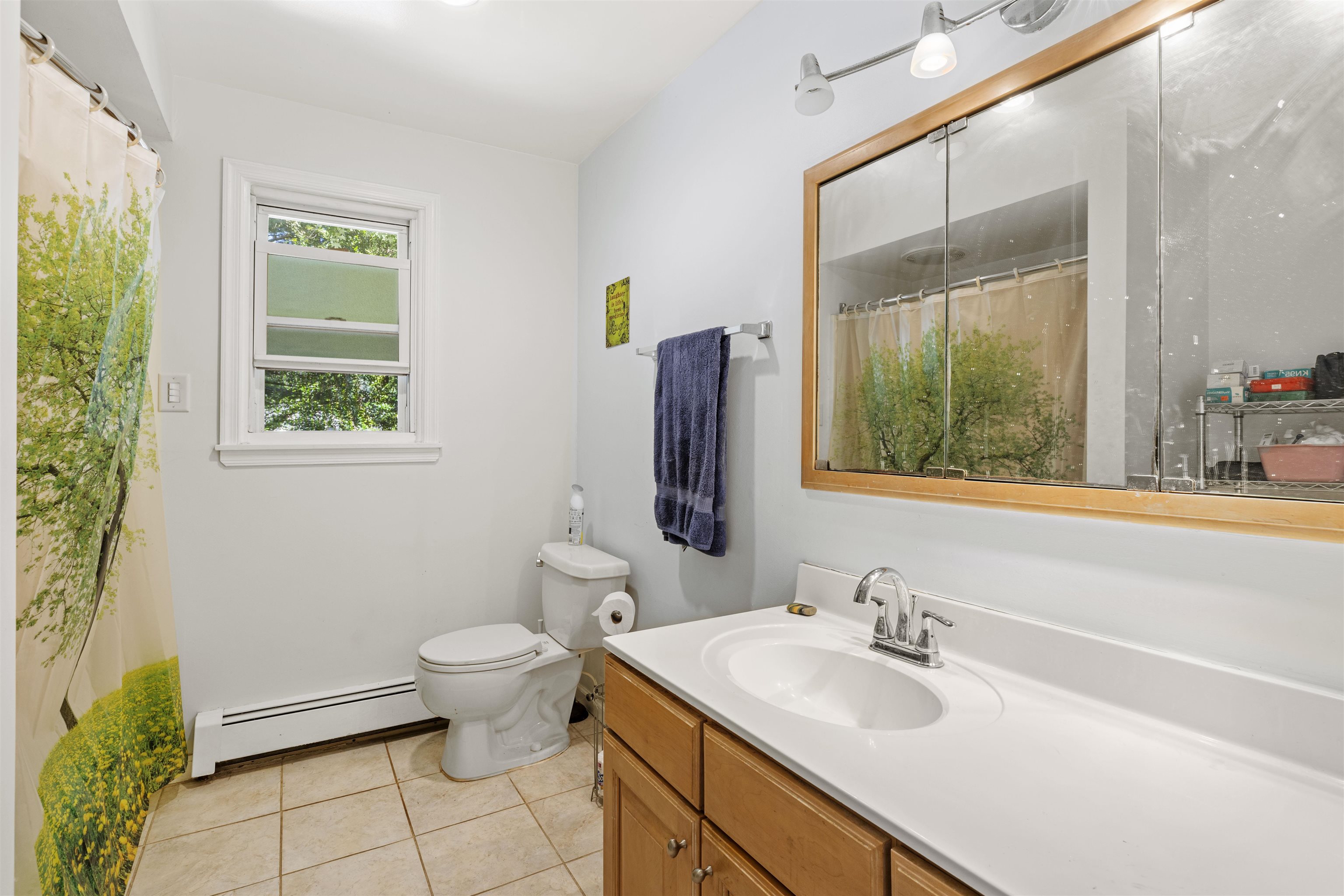 271 Hands Mill Road Belleplain, NJ 08270 - Photo 20 of 50 a bathroom with a granite countertop sink toilet and a large mirror
