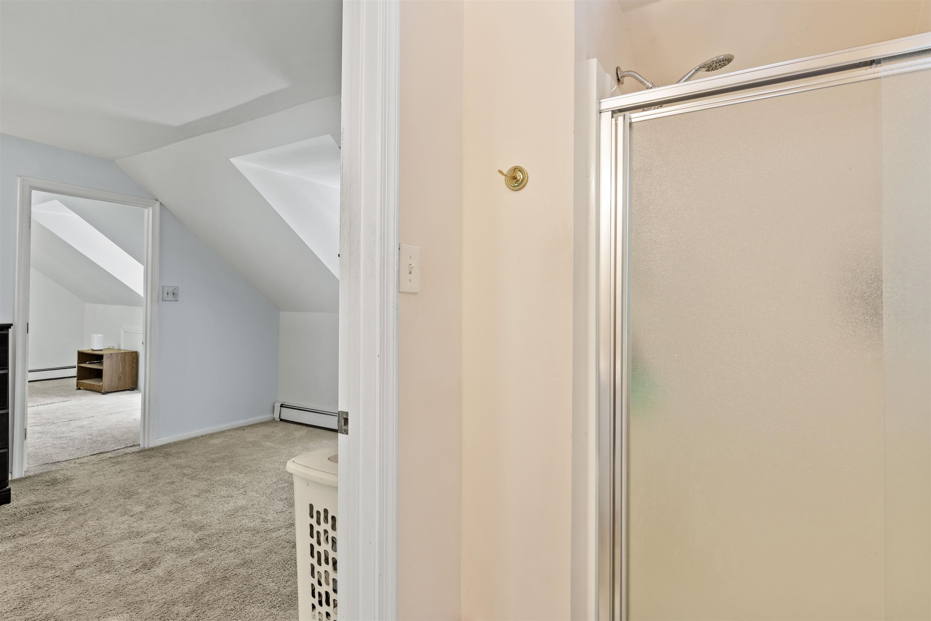 271 Hands Mill Road Belleplain, NJ 08270 - Photo 31 of 50 a view of a big room with closet and mirror