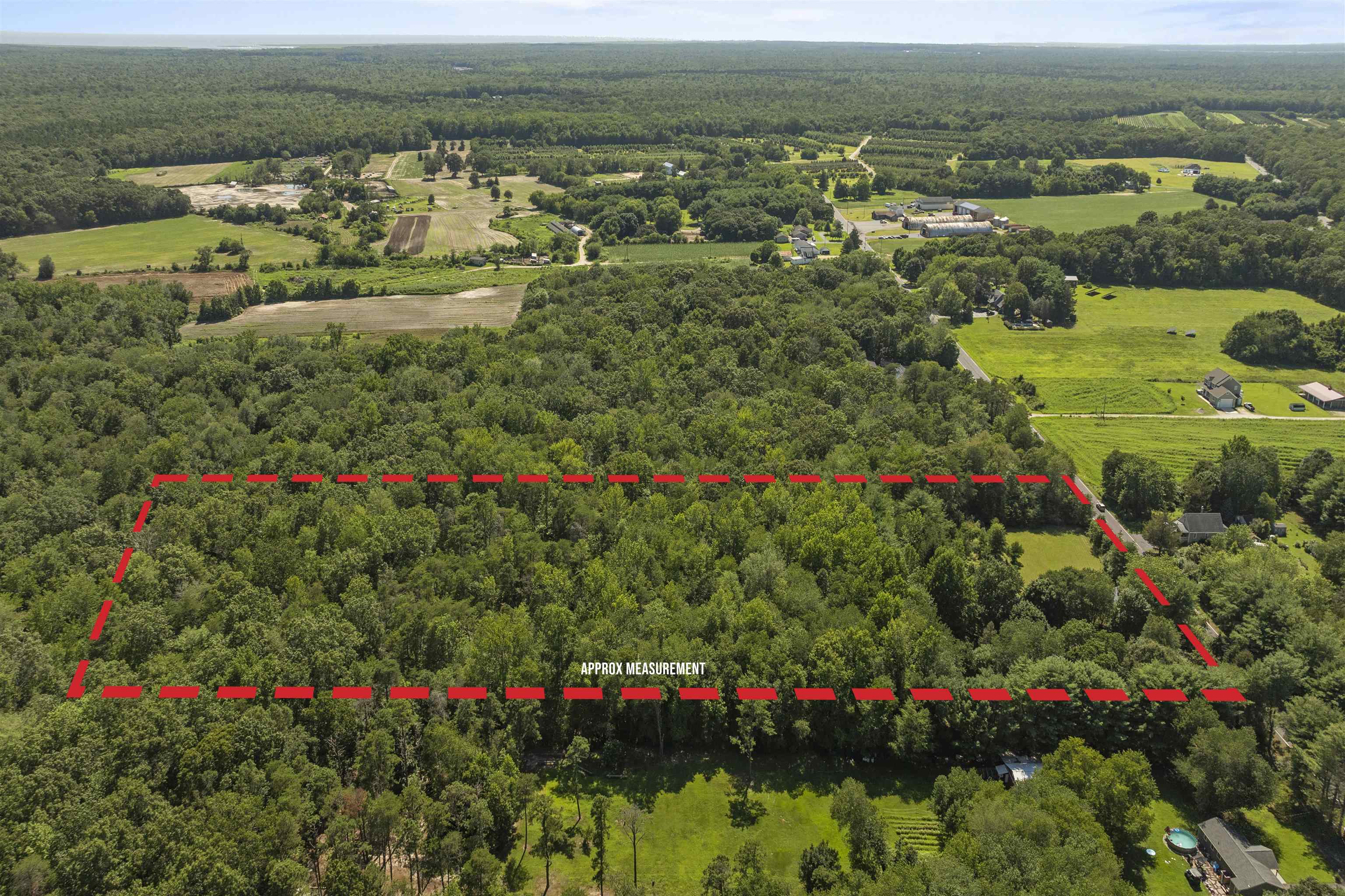 271 Hands Mill Road Belleplain, NJ 08270 - Photo 49 of 50 a view of a bunch of flowers and flowers