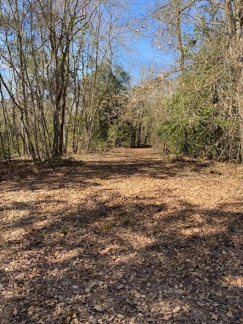 1617 Keys Pond Road Ridge Spring, SC 29129 - Photo 5 of 22