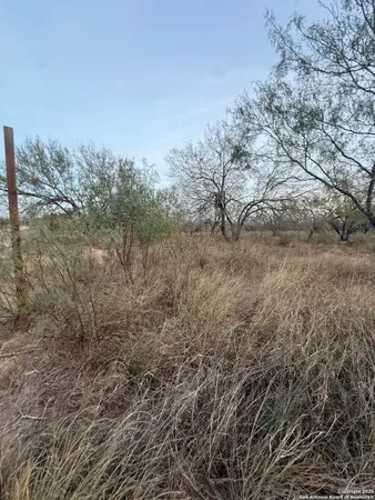 a view of a dry yard with trees in the background