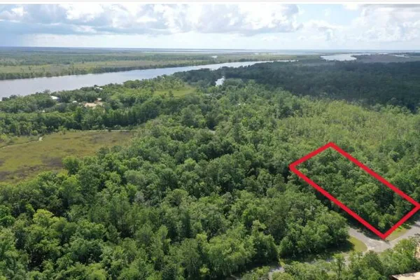 a view of a garden with pathway