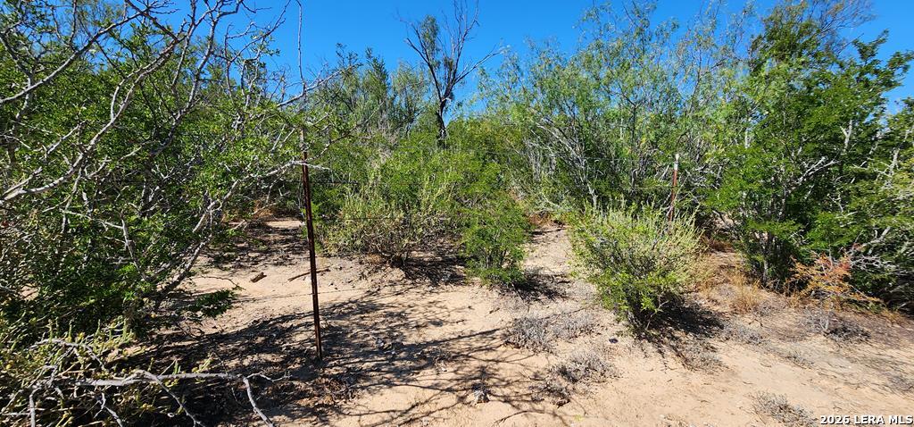 0 Loop 517 Carrizo Springs, TX 78834 - Photo 27 of 30