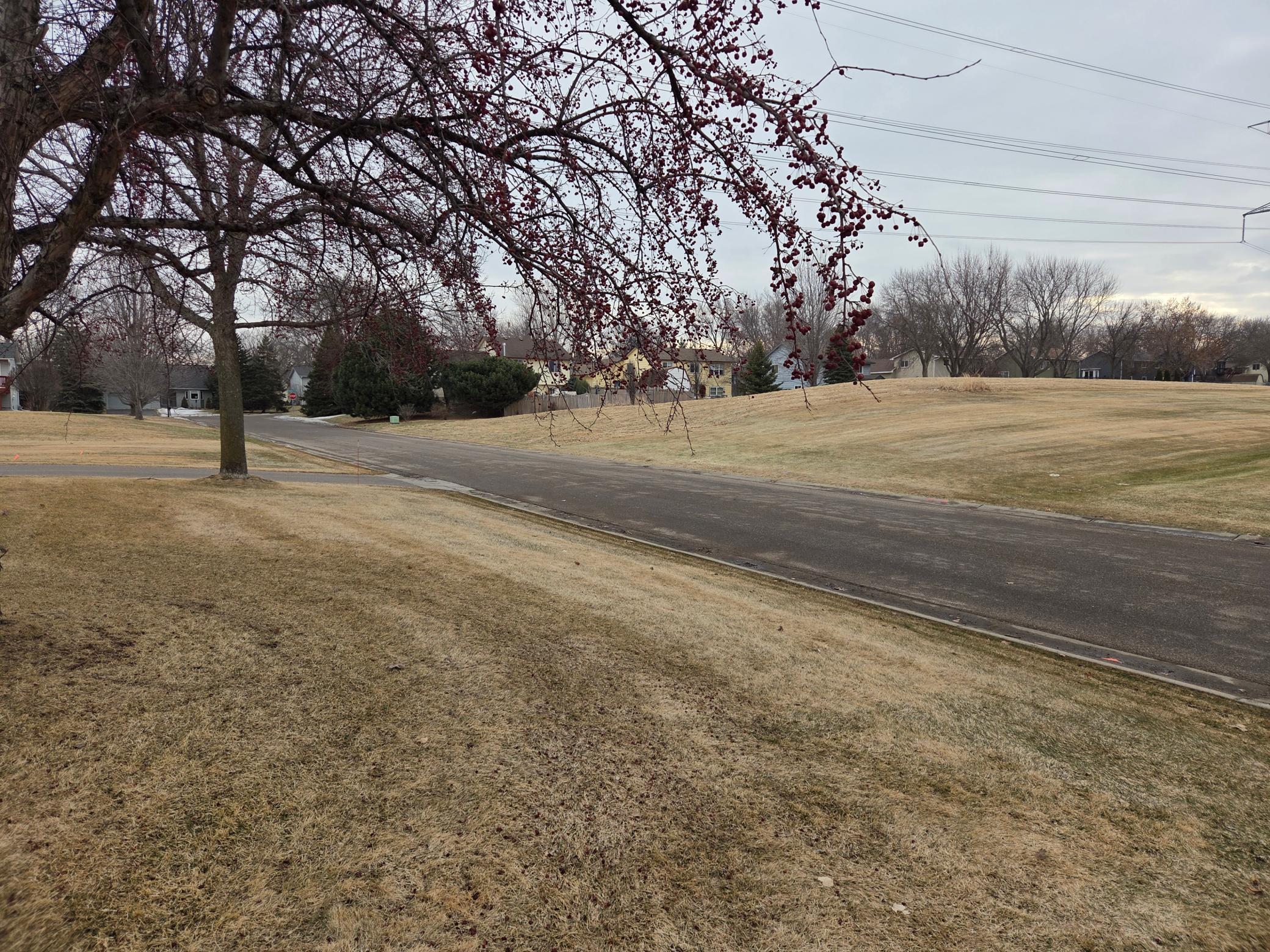 13152 90th Place North Maple Grove, MN 55369 - Photo 3 of 21