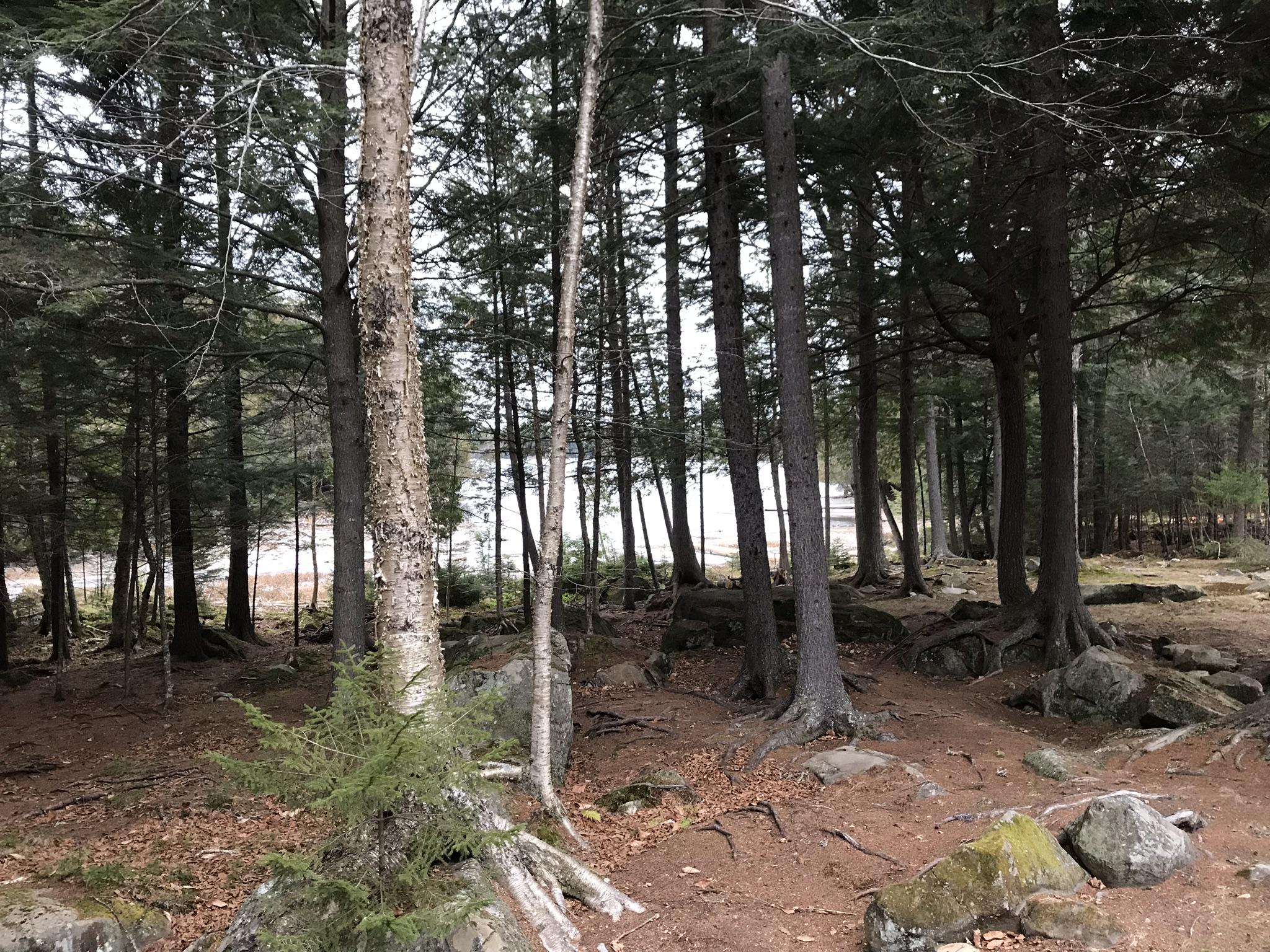 947 Black Point Road Beaver Cove, ME 04441 - Photo 38 of 42 D97DB582-D10D-40F1-AA93-D6D5397883AB