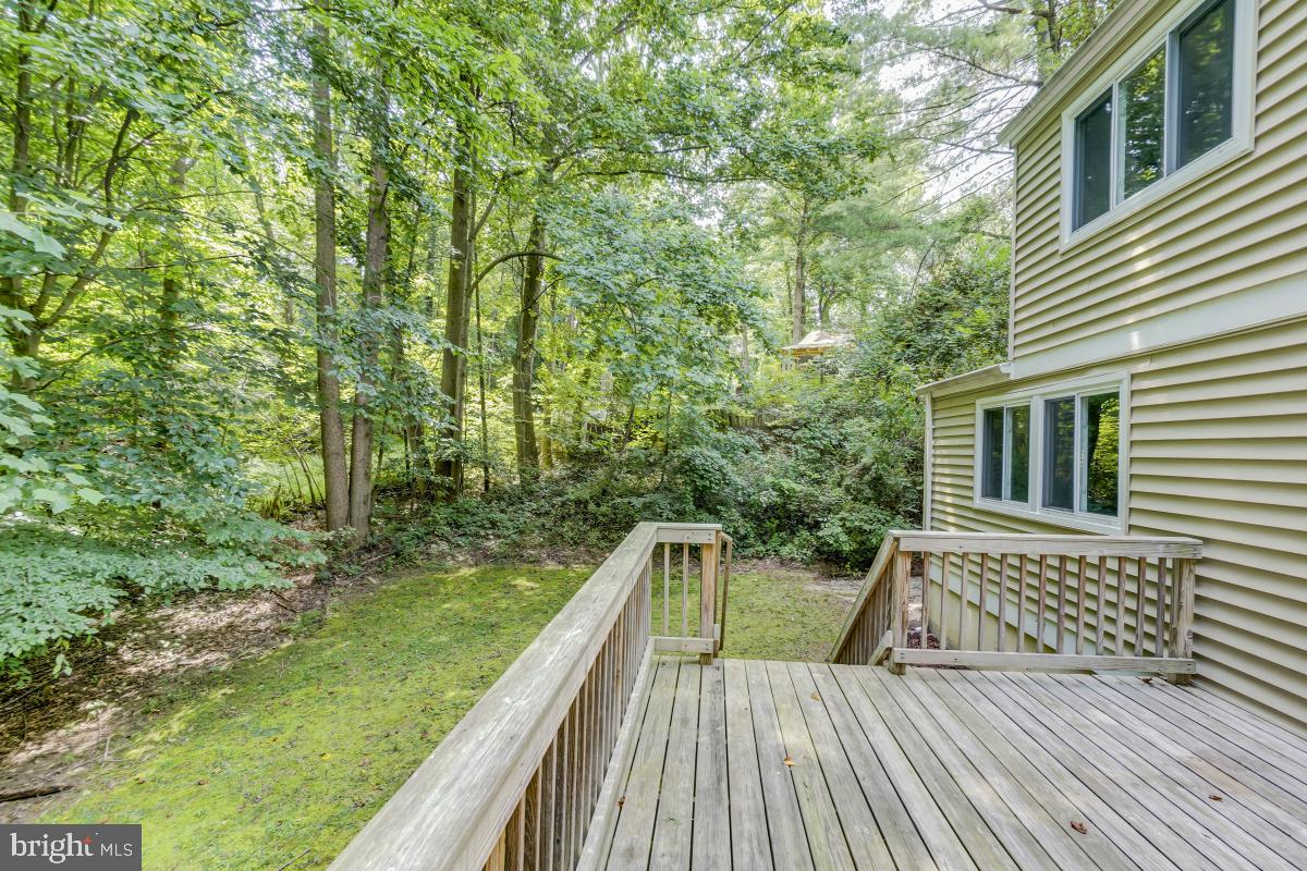 8843 Woodlawn Way Springfield, VA 22153 - Photo 39 of 45 Back yard