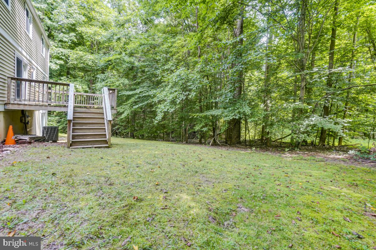 8843 Woodlawn Way Springfield, VA 22153 - Photo 40 of 45 Surrounded by trees on three sides