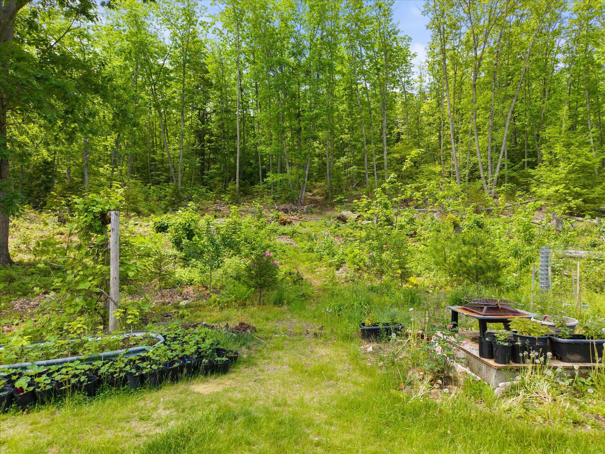 351 Bagley Mountain Road Lincoln, ME 04457 - Photo 40 of 63 351 Bagley Mountain