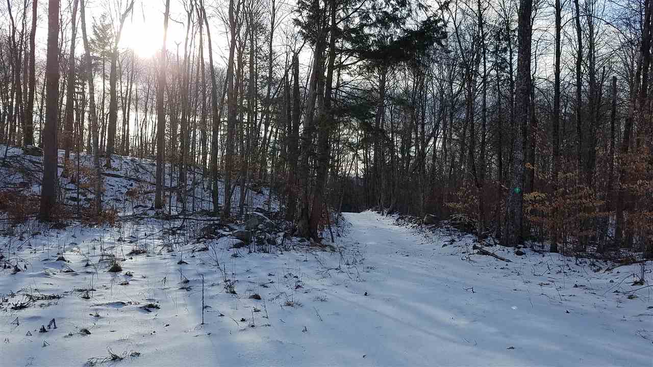 0 Forest Dale Road Brandon, VT 05733 - Photo 1 of 4