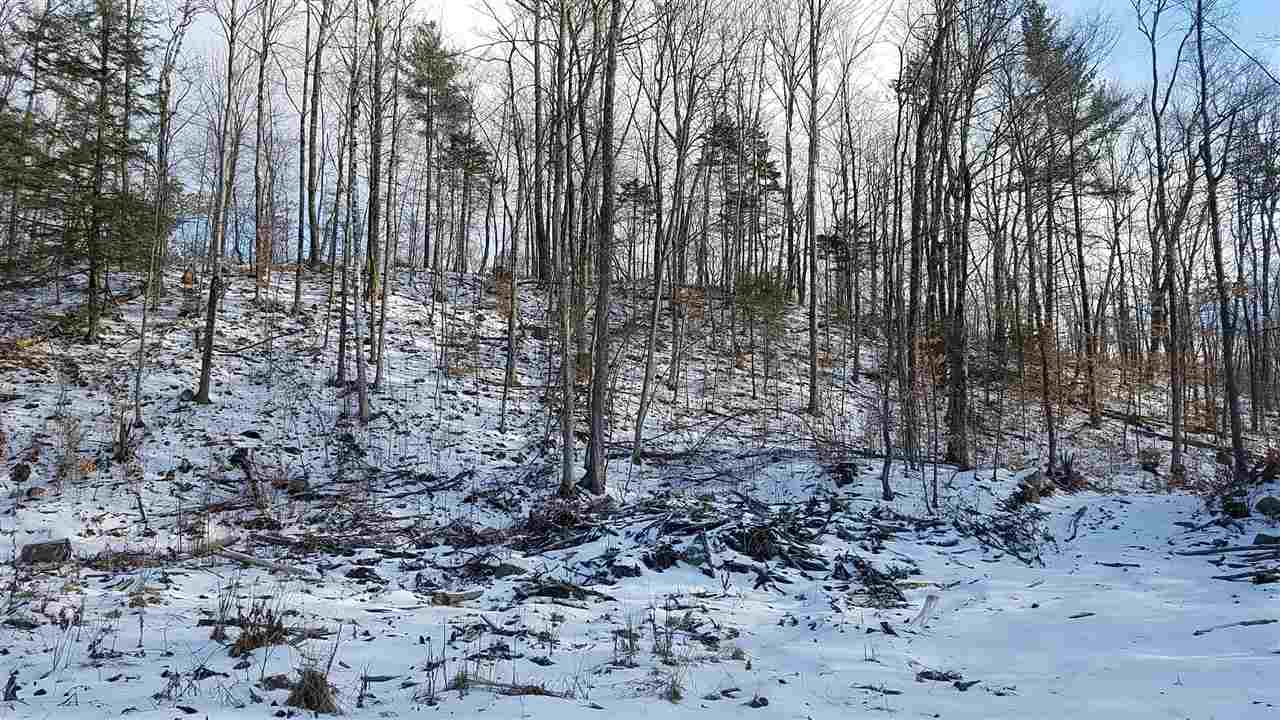 0 Forest Dale Road Brandon, VT 05733 - Photo 2 of 4
