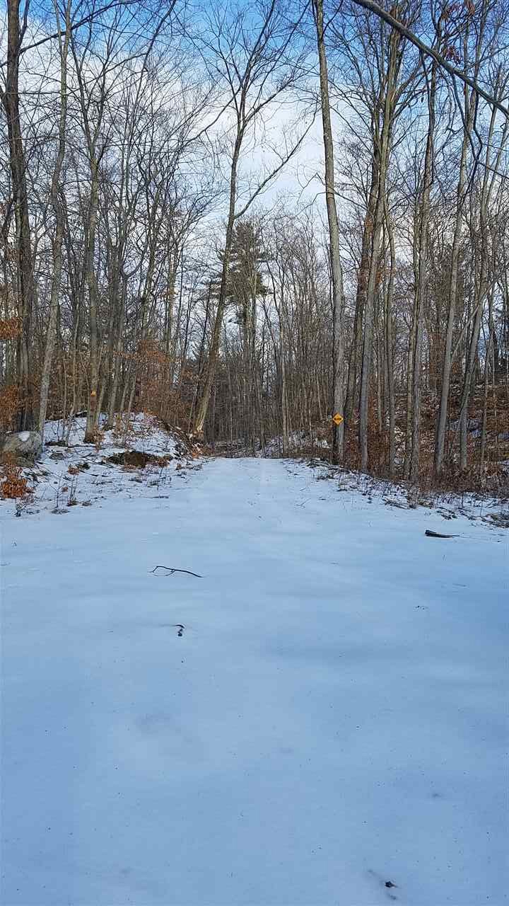 0 Forest Dale Road Brandon, VT 05733 - Photo 3 of 4