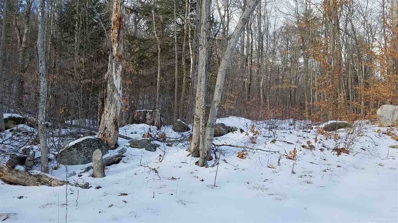 0 Forest Dale Road Brandon, VT 05733 - Photo 4 of 4