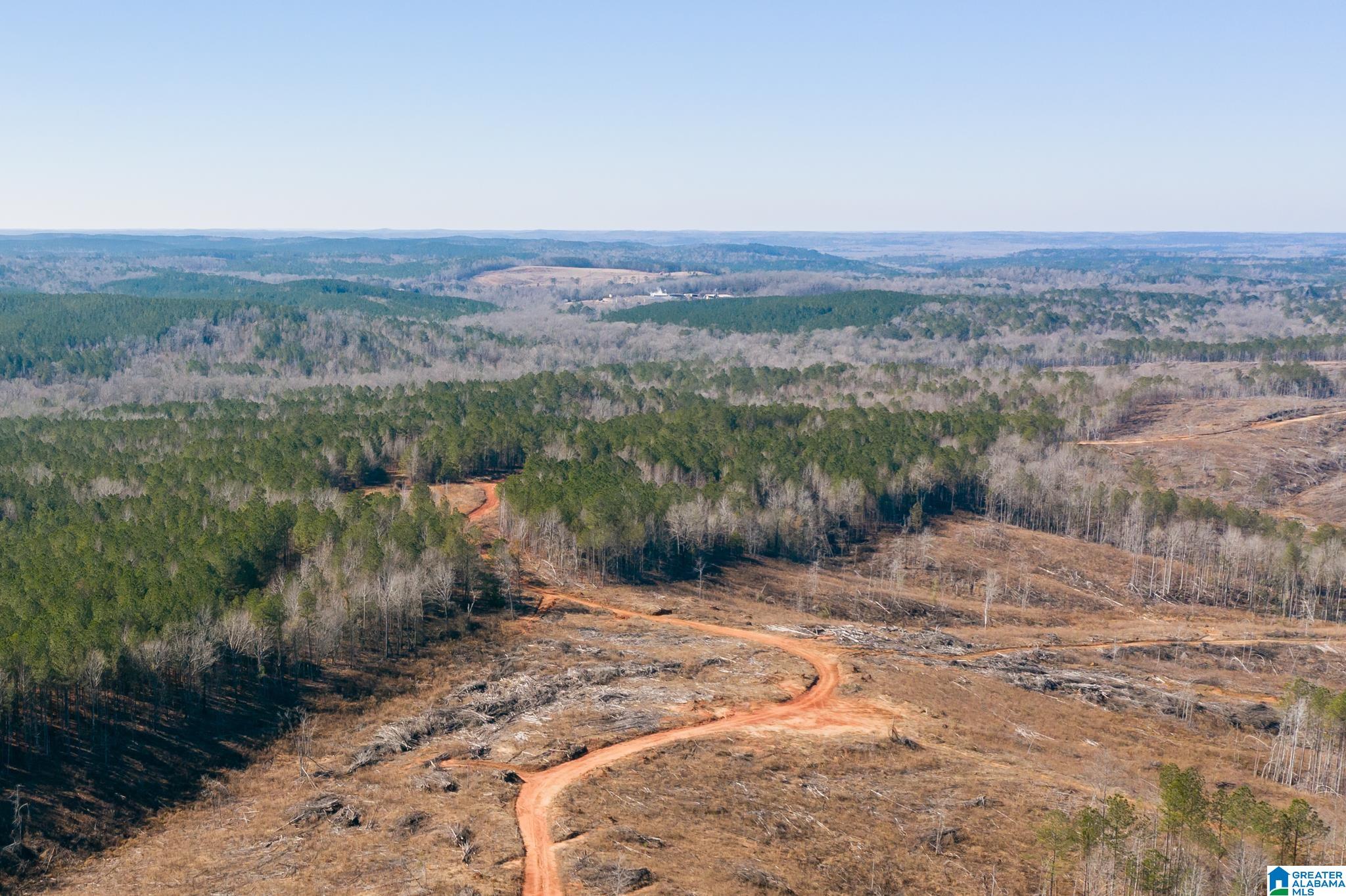 0 Harless Road Northport, AL 35475 - Photo 33 of 34
