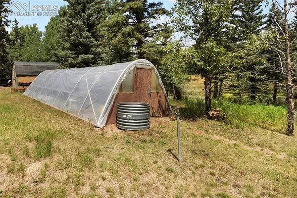 a view of a backyard with a tree