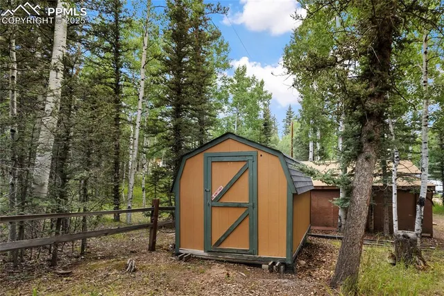 a view of backyard with a trees