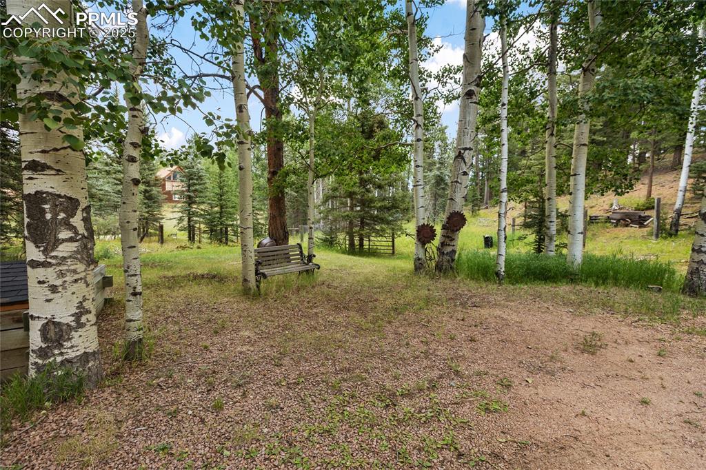 56 Blue Jay Lane Divide, CO 80814 - Photo 36 of 40