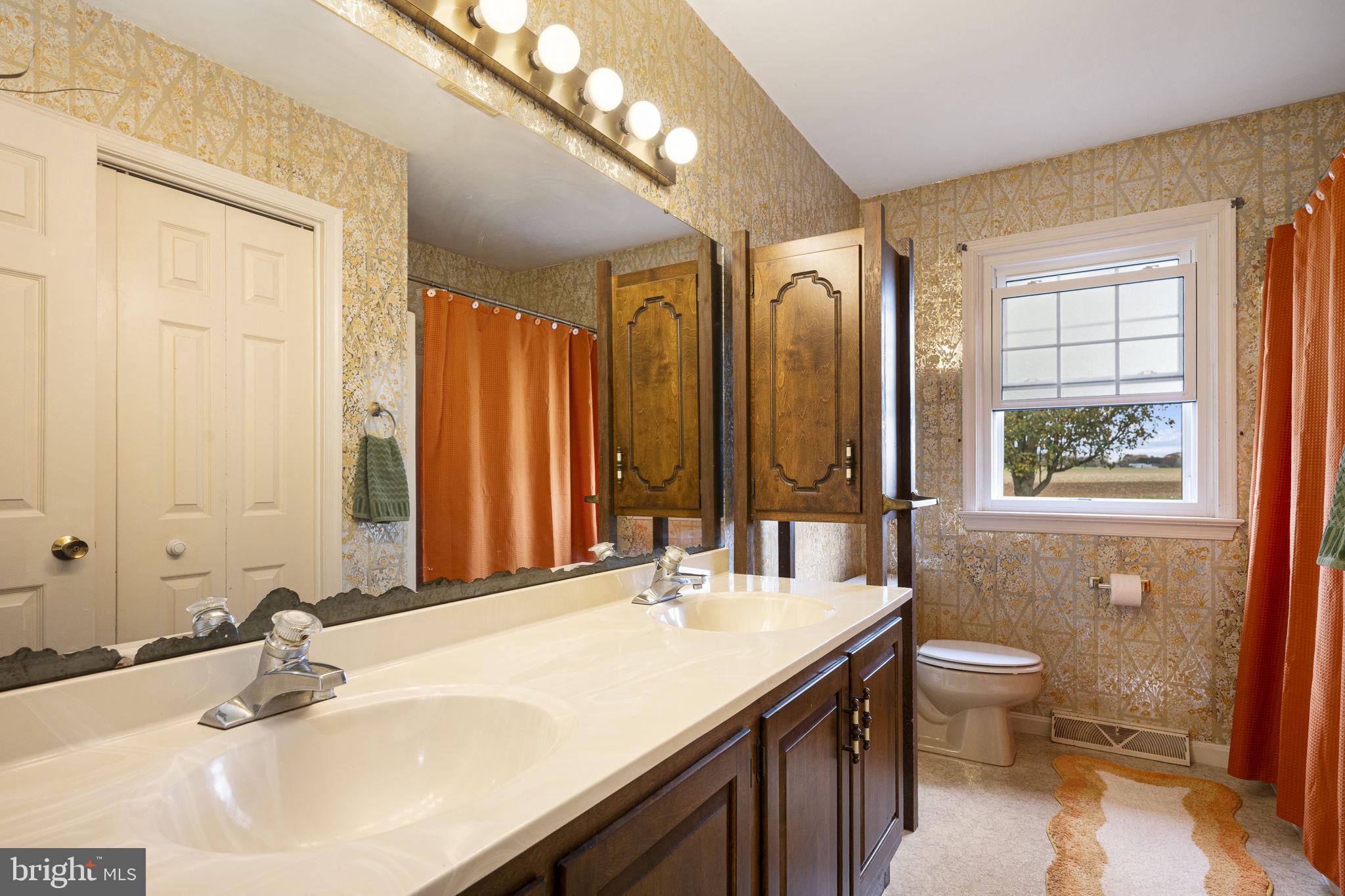 46 Green Acre Road Lititz, PA 17543 - Photo 22 of 44 a bathroom with a double vanity sink toilet and a mirror
